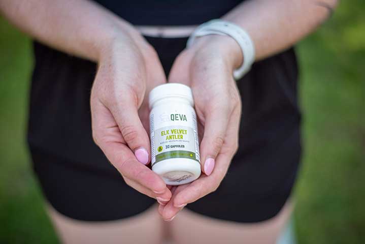 Elk Velvet Antler - Benefits for humans