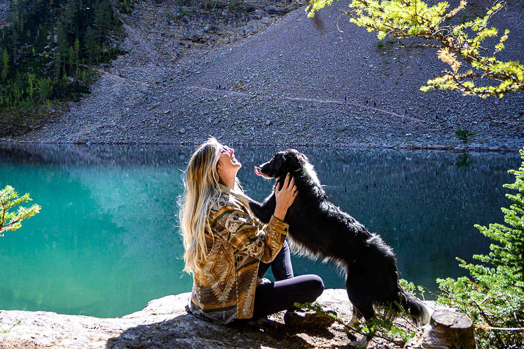 4 Legged Stories: Then We Roam