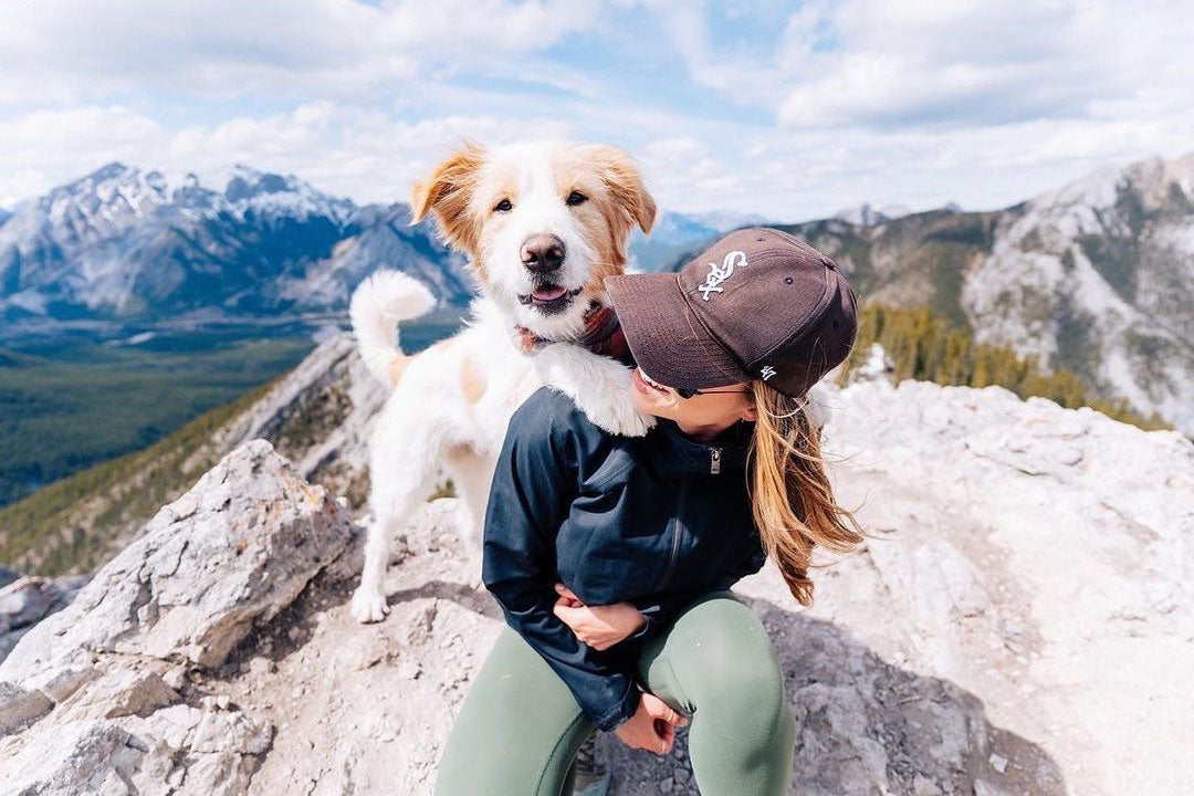 4 Legged Stories: Life Between Summits