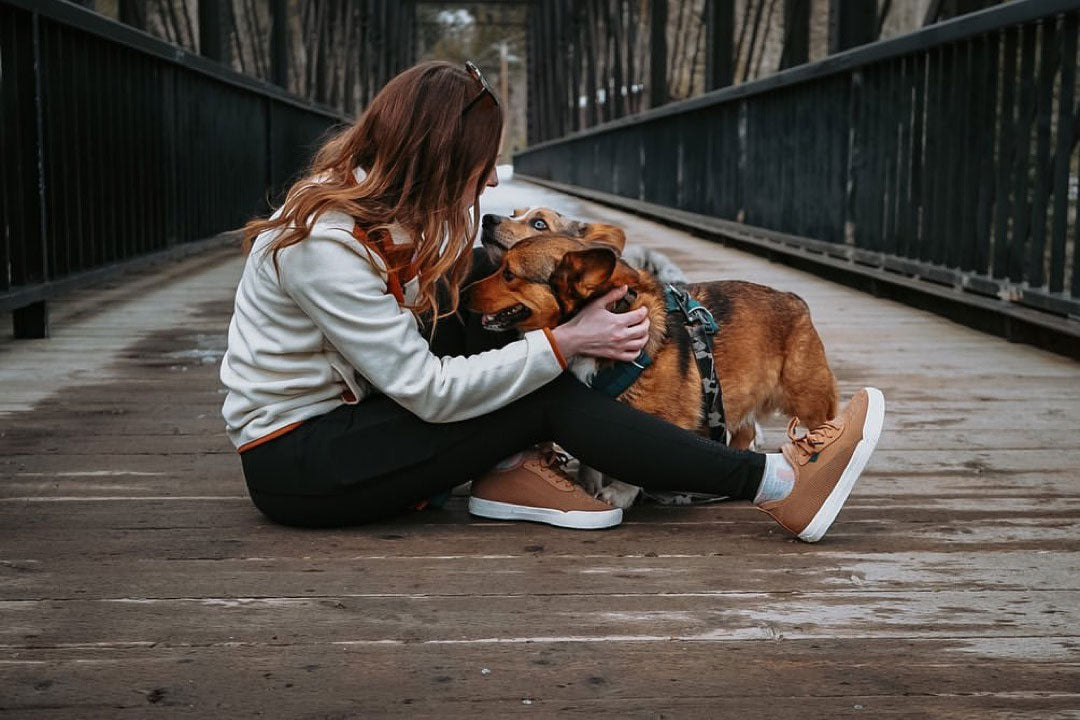 4 Legged Stories: Cass And Her Corgis