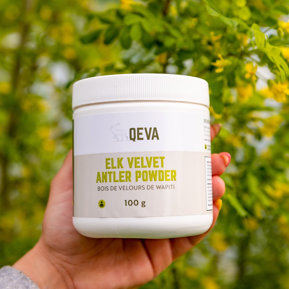 Elk Velvet Antler for Humans – Powder (100 g)